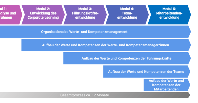 Beratung_Prozess_Module