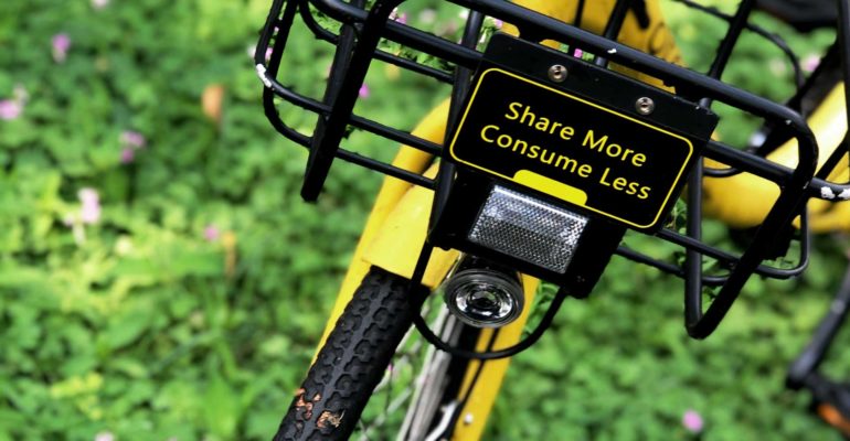 pop-zebra-kJZSIXoXrUE-unsplash